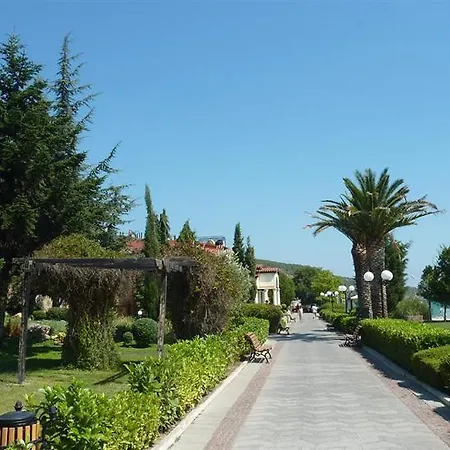 Romana Elenite